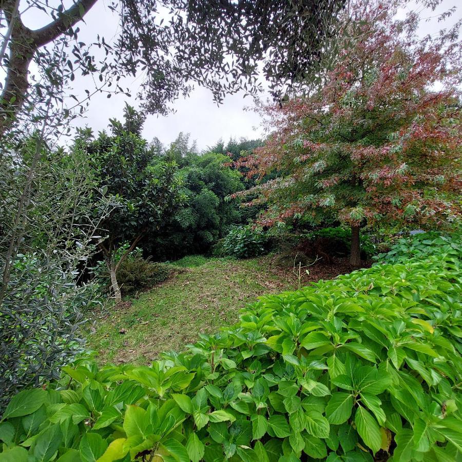 Casa Do Penedo - Quinta De Fundevilla Vườn quốc gia Peneda-Gerês Ngoại thất bức ảnh